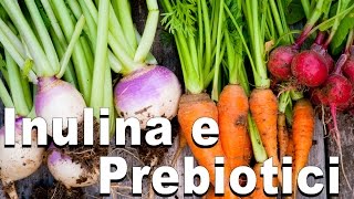 Inulina e Prebiotici [upl. by Esserac]