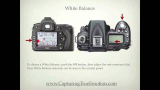 Nikon D90 Settings [upl. by Haerle]