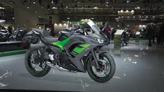 2024 NEW KAWASAKI NINJA 650 SPORT TOURER OFFICIALLY LAUNCHED [upl. by Bach]