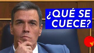 PEDRO SÁNCHEZ AMAGA CON DIMITIR Los políticos disponen la prensa perfila y el votante asiente [upl. by Olympe315]