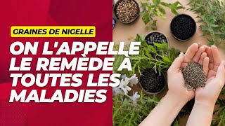 Nigelle quotLe Remède contre toutes les Maladies sauf la Mortquot [upl. by Adnoryt]