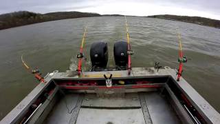 FISH4FUN SPOONBILL CATFISH ANOTHER WAY TO SNAG THEM [upl. by Notkcorb]