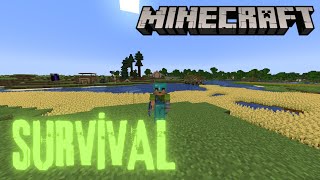 SURVİVAL 10GÜN  MİNECRAFT [upl. by Male982]