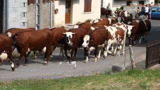 Les Bauges montée vers lArclusaz [upl. by Ayamat]