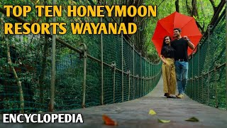 BEST HONEYMOON RESORTS WAYANAD  TOP TEN RESORTS EXPLAINED  WAYANAD RESORT WITH ROOM RATES [upl. by Charin]