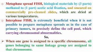 Definition of Metaphase and Interphase FISH Technique [upl. by Goodard]