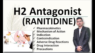 H2 Antagonist Ranitidine [upl. by Banks]