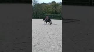 Trop forte ma ponette 💞 [upl. by Philipson]