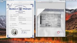 Cómo se Apostilla un Acta de Matrimonio de Washington [upl. by Viglione]