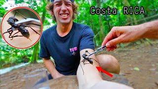 STUNG by a BULLET ANT 8 TIMES Worlds strongest insect sting [upl. by Netsirc]