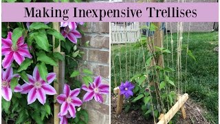 Making Inexpensive Trellises [upl. by Trahurn276]