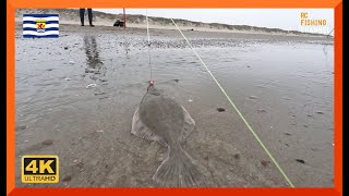 BOT VISSEN VANAF HET NOORDZEESTRAND [upl. by Clevey]