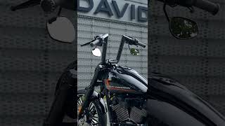 Midnight Rider softail breakout harleydavidson [upl. by John477]