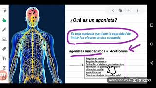 Fármacos agonistas muscarínicos Explicación Fácil en 7 minutos [upl. by Sapowith277]