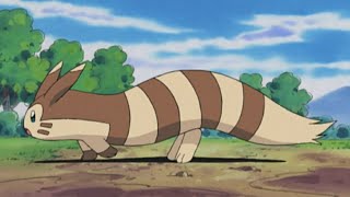 Sentret and Furret Pokemon all Attacks pokemon sentret furret all new attacks [upl. by Penman]