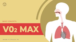 What is VO2 Max  VO2 Max Explained  Sports Science  How To Improve Your VO2 Max  Fitpage [upl. by Ailel]