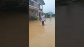 lubog ang camella subdivision sa lakas ng ulan [upl. by Hgeilhsa166]