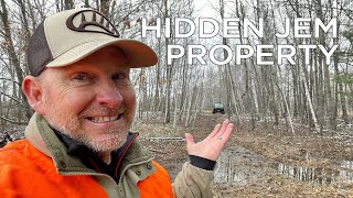 How to find affordable land Wisconsin 23 Acre Property Tour [upl. by Innek351]