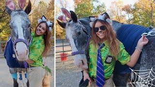 HALLOWEEN AT THE STABLES 2024 VLOG  Horses in Costumes amp Trick or Treating [upl. by Charron976]