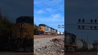 CSX local train L619 departs Raleigh NC at Powell Drive 11132024 [upl. by Mcclary]