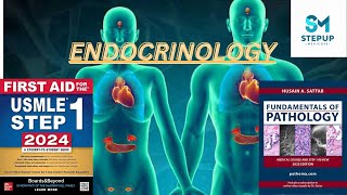 3Endocrine  Growth Hormone Physiology  First Aid USMLE Step 1  Urdu  Hindi [upl. by Thessa47]