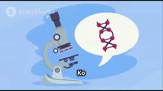 Agarose Gel Electrophoresis A StepbyStep Guide electrophoresis agarosegel EtBr xylenecyanol [upl. by Karli]