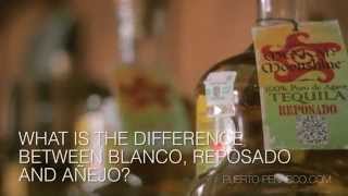 What is the difference between Blanco Reposado and Añejo Tequila [upl. by Mohn]