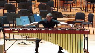 Emmanuel SéjournéConcerto for marimba and string orchestra [upl. by Eimmelc]