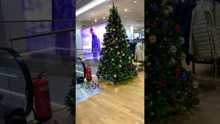 Christmas Tree 🎄 christmas alliwantforchristmasisyou merrychristmas music christmassongs [upl. by Radec]