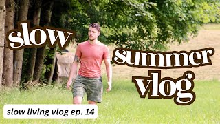 Slow Summer Vlog  Gardening Cooking and Thoughts About Feeling Content  Ep 14 [upl. by Llerrej]