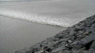 Bore Tide Turnagain Arm [upl. by Winnie309]