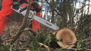 Stihl MS 271 Review [upl. by Philippine]