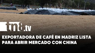 Cooperativa exportadora de café en Madriz lista para abrir mercado con China [upl. by Adnahcir951]