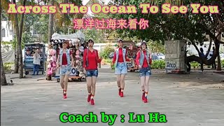 Across The Ocean To See You  漂洋过海来看你   Line Dance [upl. by Pritchett]