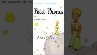 Le Petit Prince 004 [upl. by Evelunn904]