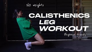 CALISTHENICS LEG WORKOUT  NO WEIGHTS beginner friendly [upl. by Eniawd]