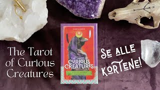 Se alle kortene The Tarot of Curious Creatures [upl. by Rosecan]