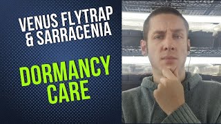 How To Care For A Dormant Venus Flytrap or Sarracenia [upl. by Clementas]