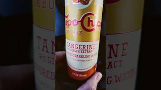 TopoChico Sparkling Water Review  Tangerine With Ginger Extract [upl. by Oinotna]