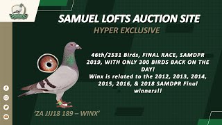 Samuel Lofts Auction  ZA 18 JJJ 189 HYPER EXCLUSIVE [upl. by Atinyl]