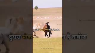 Motivational quotes videos motivation success shorts inspirationalquotes Abhirajguptamotivational [upl. by Sarina]