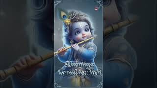 Muraliya Naadava Keli  Devotional instrumental  Classical Music [upl. by Emiline635]