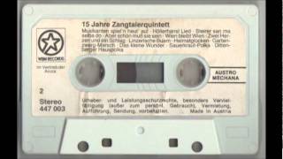 Zangtaler Quintett  Musikanten Spieln Heut Auf Hoellerhansllied Steirer san ma selber do 1982 [upl. by Solim]