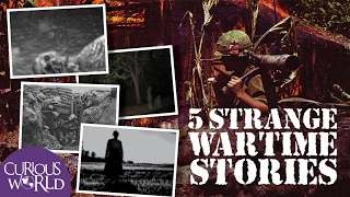 5 Very Strange Wartime Stories [upl. by Notslah411]