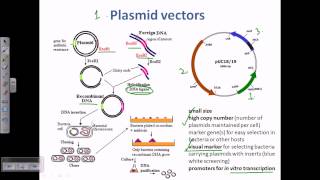 Plasmid as a cloning vector [upl. by Aicnetroh]