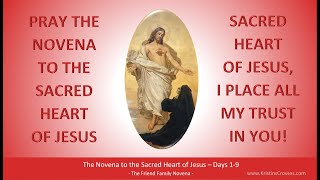 Pray the Novena to the Sacred Heart of Jesus Days 19 [upl. by Eiresed]