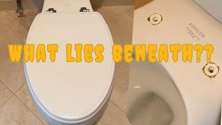 Heres why the toilet still smells after you clean it [upl. by Baillie]