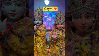 Radhe Krishna राधे कृष्णा❤️ radheradhe radhekrishna bhajan krishna jugaljodi shorts [upl. by Burgener766]