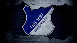 TSG 1899 Hoffenheim Torhymne 202425 [upl. by Tihw]