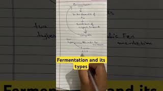 what is fermentation  types of fermentation viralshort ytshorts viral [upl. by Earised648]